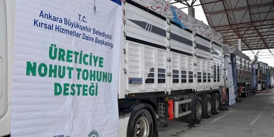 Başkentli üreticiye 1.5 milyonluk nohut tohumu desteği
