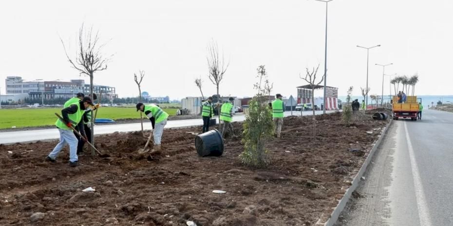 Mardin yoluna yeşil dokunuş
