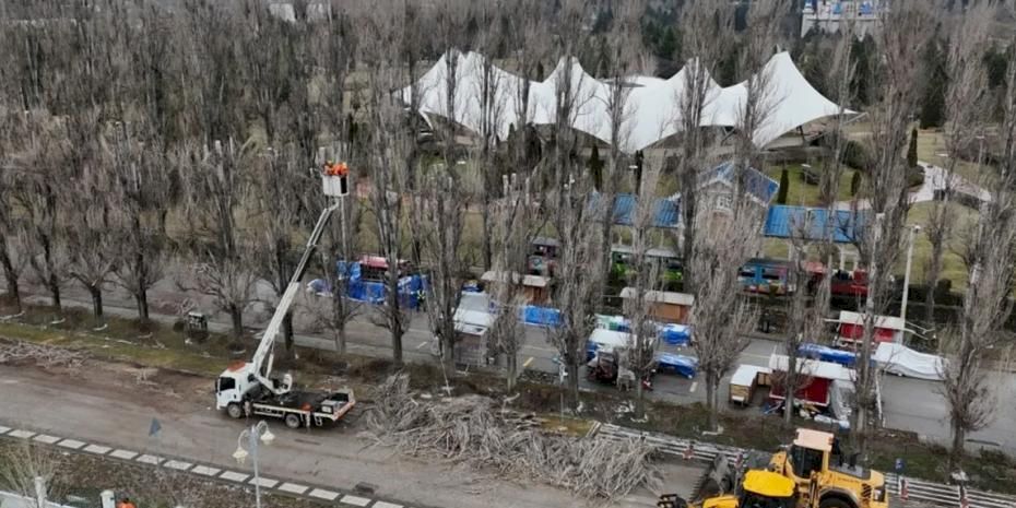 Eskişehir Büyükşehir'den ağaçlara gençleştirme çalışması