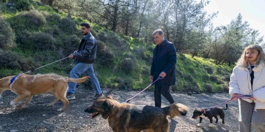 İzmir Büyükşehir'den sahipsiz hayvanlar için çağrı