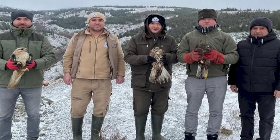 Eskişehir'de tedavi edilen yırtıcı kuşlar doğaya salındı