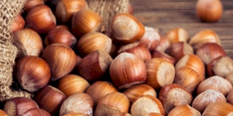 TMO'dan 'kabuklu fındık' açıklaması: Satışımız ve hazırlığımız bulunmamaktadır