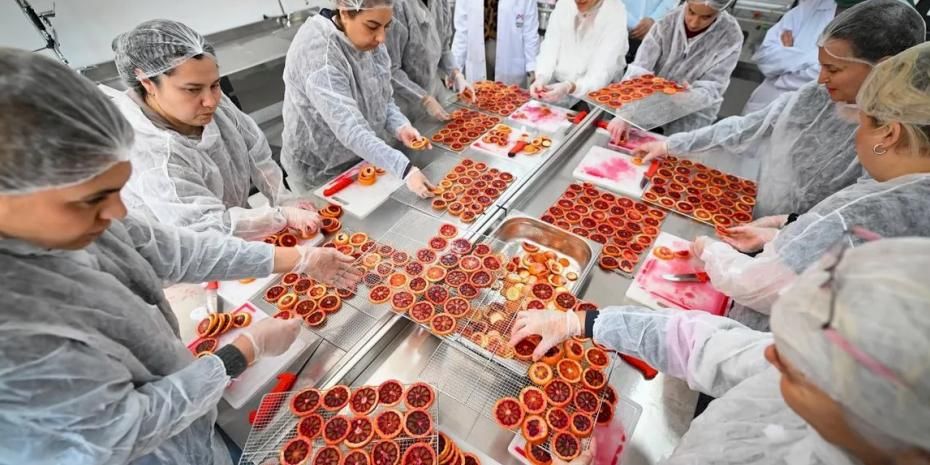 Mersinli kadınlar kan portakalını geleceğe taşıyor