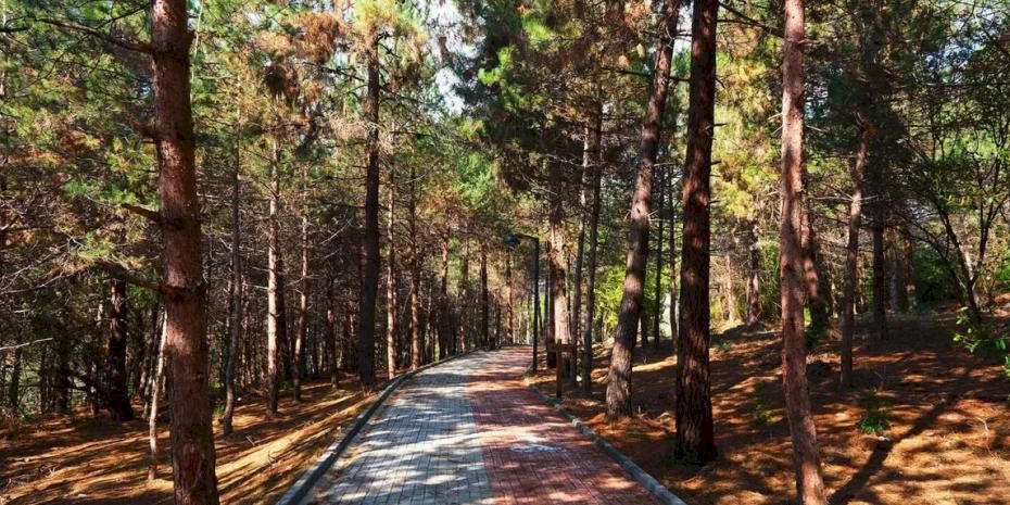 Sakaryalılar baharı ‘Huzur Koridoru’nda koşarak karşılayacak