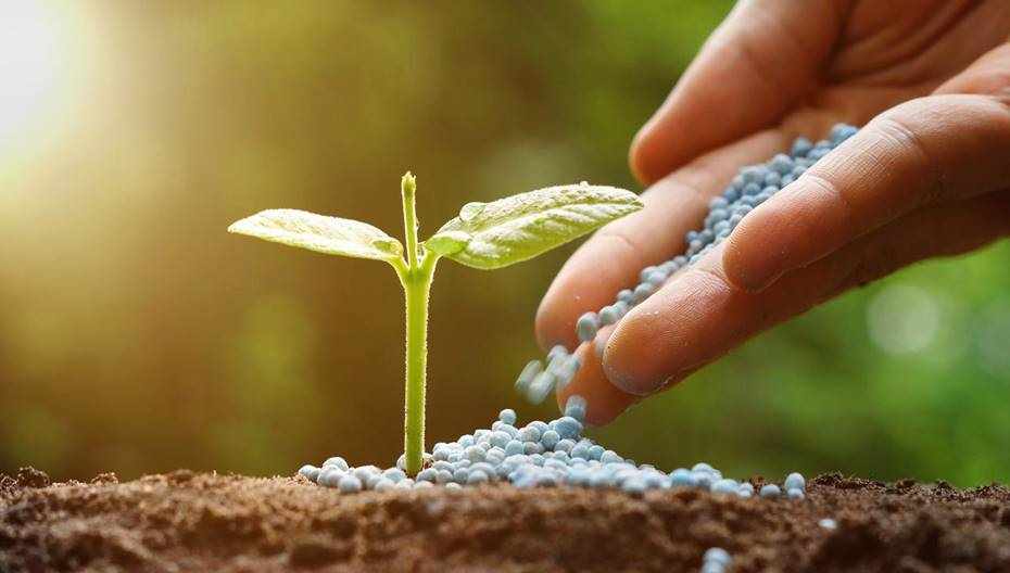 Tarım Kredi'den gübre tedariki açıklaması