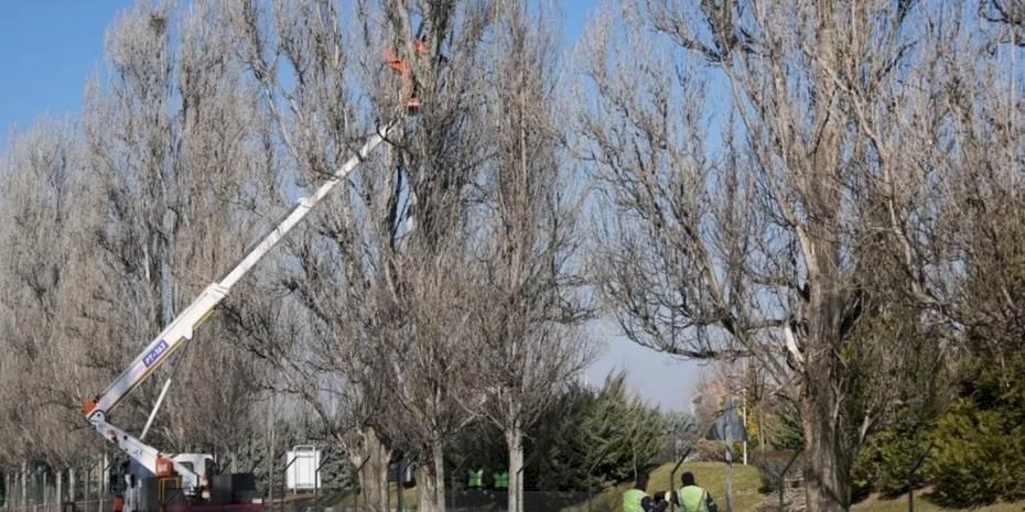 Eskişehir Sazova Parkı’nda çalışmalar devam ediyor