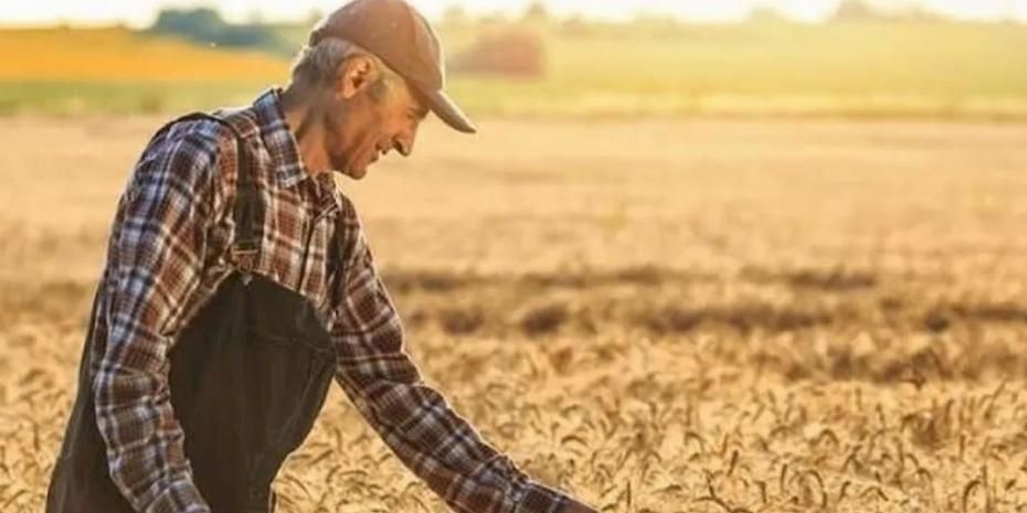 2025’te tarım işçilerinin günlük ücretleri arttı