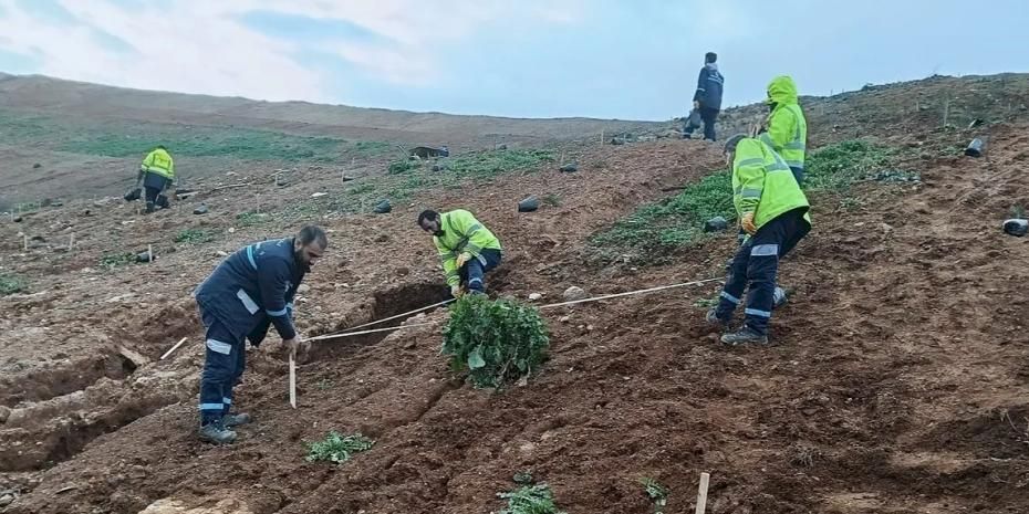 Kocaeli Gebze'de Büyükşehir’le yeşile dokunuş