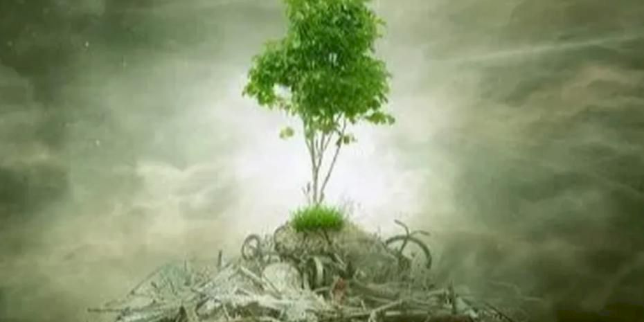 ÇED 'gerekli değil' kararı kaldırıldı! Yönetmelikle süreçler değişti