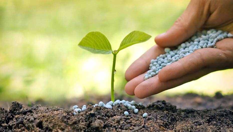 GÜBRETAŞ’tan gübre arzı açıklaması: Tarım Kredi'de gübre satışı durmadı!