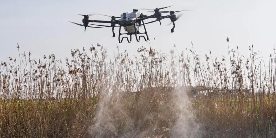 Sivrisinek ve zararlılara karşı İzmir modeli teknoloji sahada