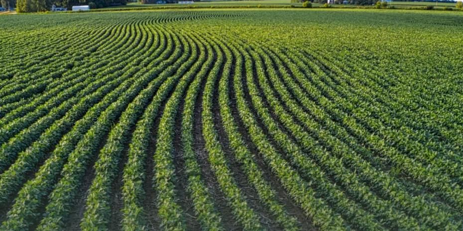 Tarım arazilerinin etkin kullanımı için hibe desteği