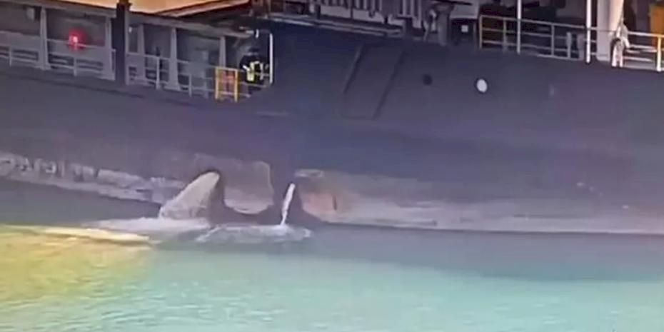 Mersin Limanı’nda denizi kirleten gemiye 13,1 milyon TL ceza