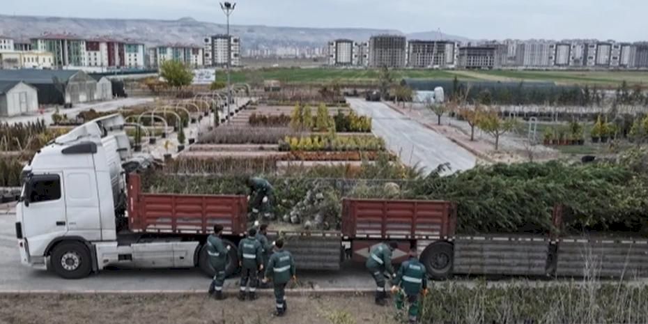 Kayseri Kocasinan'dan ağaç dikme rekoru