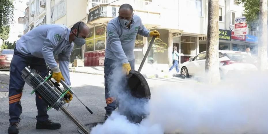 Mersin'de haşere alarmı