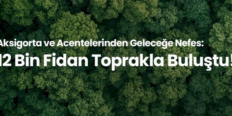 12 Bin Fidan Toprakla Buluştu