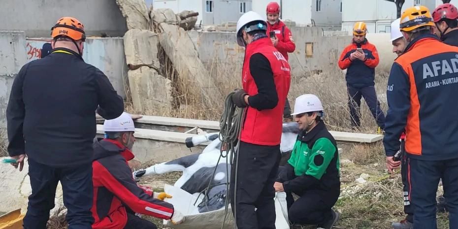 AFAD’dan uluslararası iş birliğiyle hayvan koruma projesi... RESQ-ANIMALS başladı