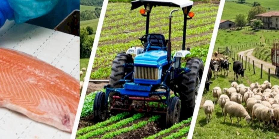 IPARD III’te yeni takvim açıklandı... Kırsala 241 milyon avroluk dev hibe