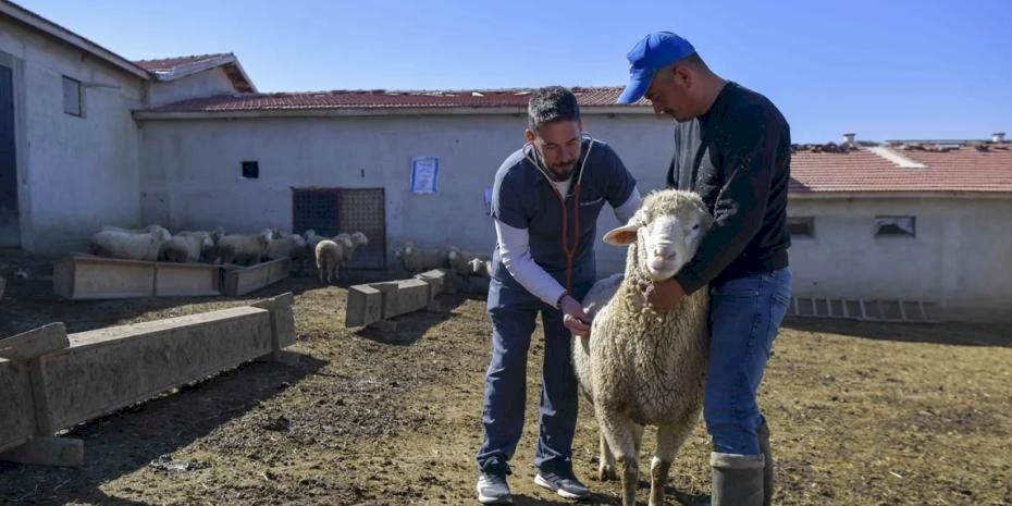 Ankara’da kırsaldaki üreticiye can suyu
