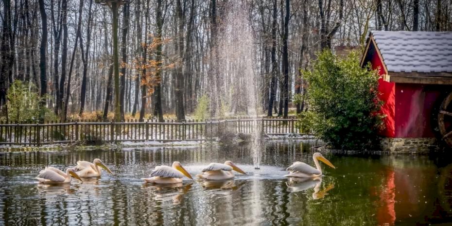 Kocaeli'de Ormanya ve Kuzuyayla ziyaretçilere hazır