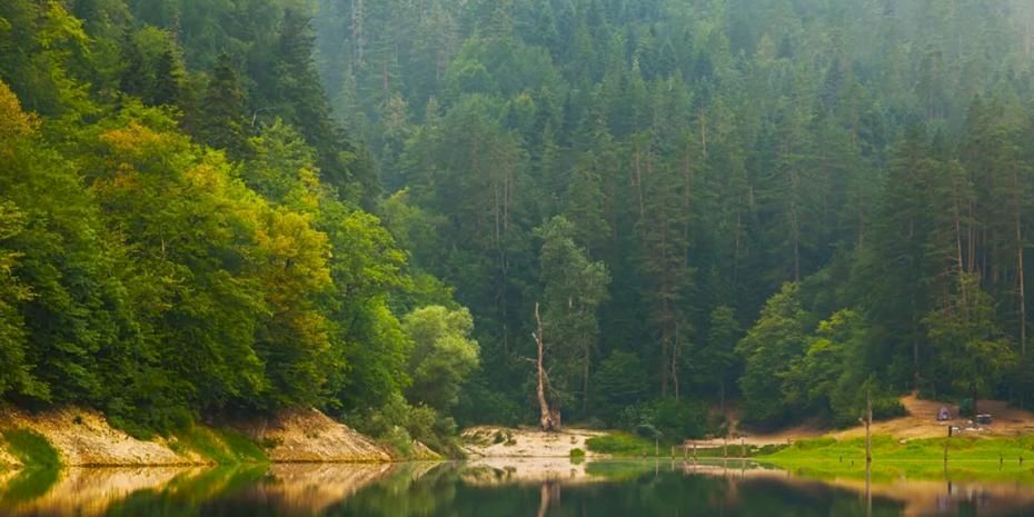 Doğa Koruma ve Milli Parklar'da yeni dönem... Yetkiler artırıldı, cezalar yükseltildi