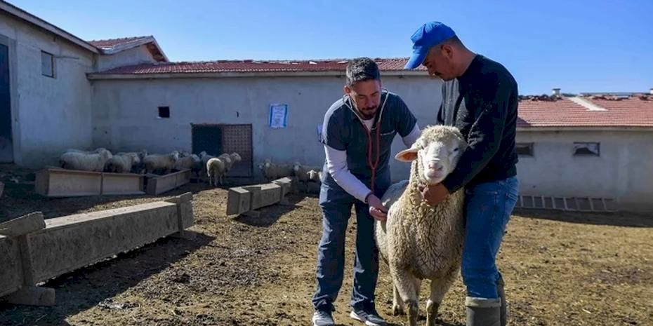 ABB'den kırsala veterinerlik hizmeti