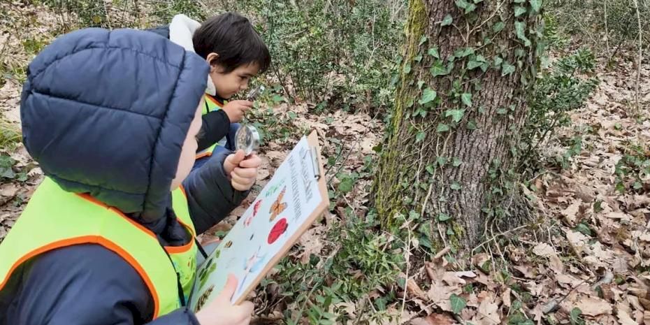 Lokomotif’in minikleri Ormanya’da keşfetti