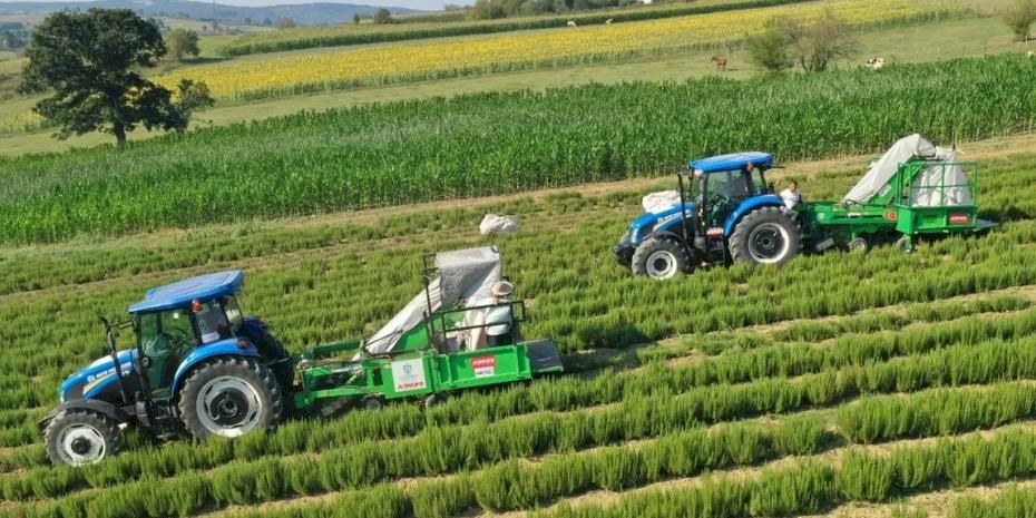 Kocaeli'de kırsal üretimde Büyükşehir’in izi var