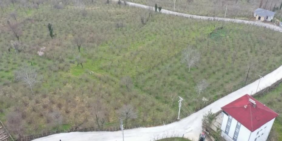 Ordu Büyükşehir’den Kumru’da yol seferberliği