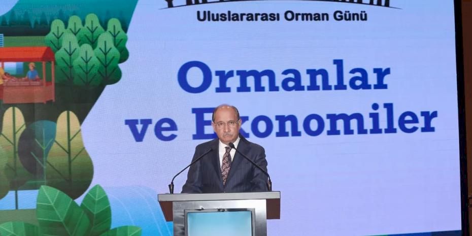 Ormanların ekonomik gücüne dikkat çekildi