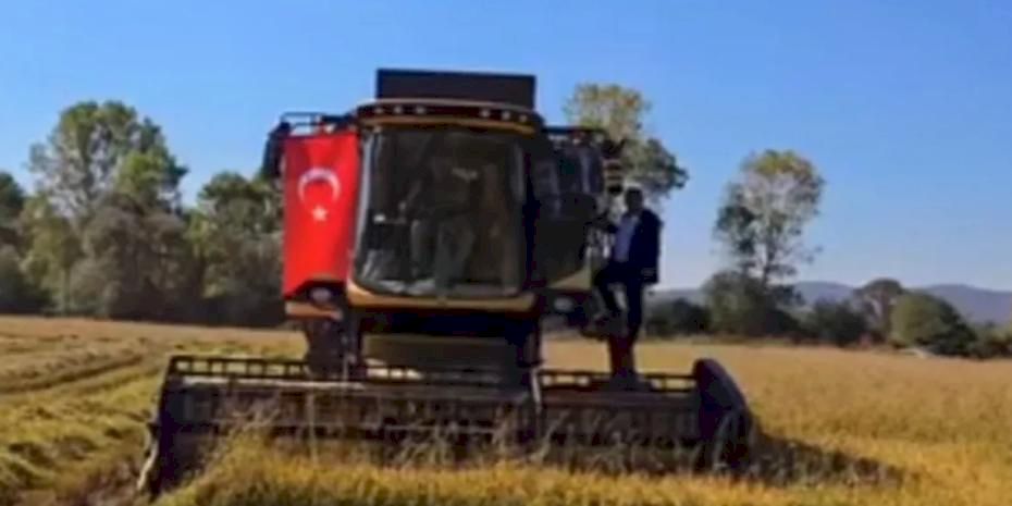 İstanbul'da yeni üretim sezonu için tohum ve fideler hazır