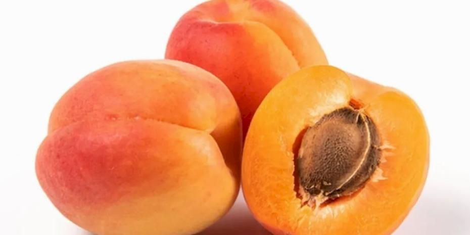 Bitkisel ürünlerde en yüksek yeterlilik kayısı ve zerdalide