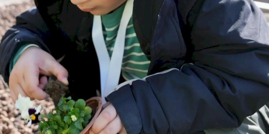 İstanbul Maltepe'de 'tarım parkı' minikleri ağırladı