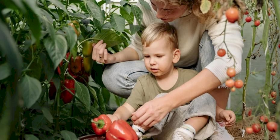Sakarya’da çocuklar tarımın kaşifi olacak
