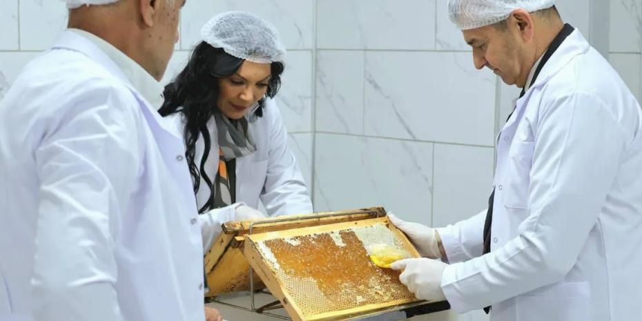 Artvin 'Bal Çalıştayı'na hazırlanıyor