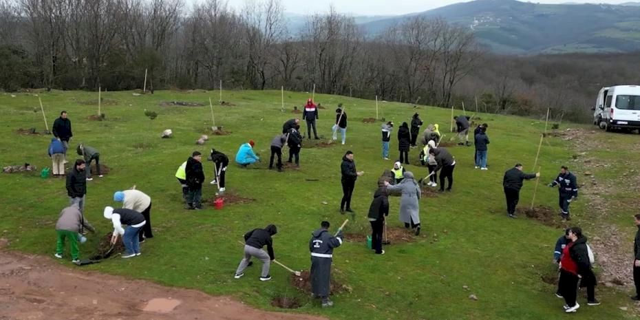 Kocaeli'de fidanlar engelsiz hayat için dikildi