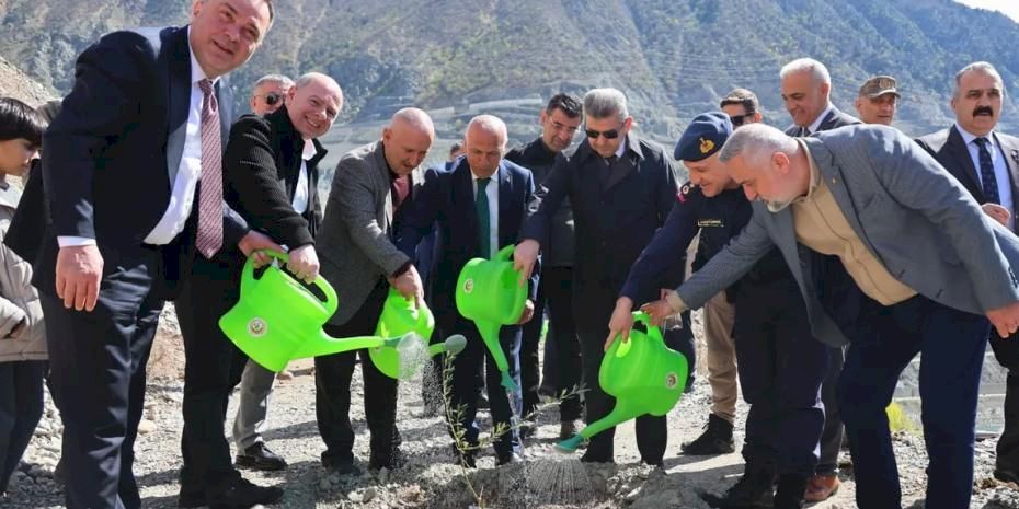 Artvin’de Butko zeytini üretimi yaygınlaşıyor