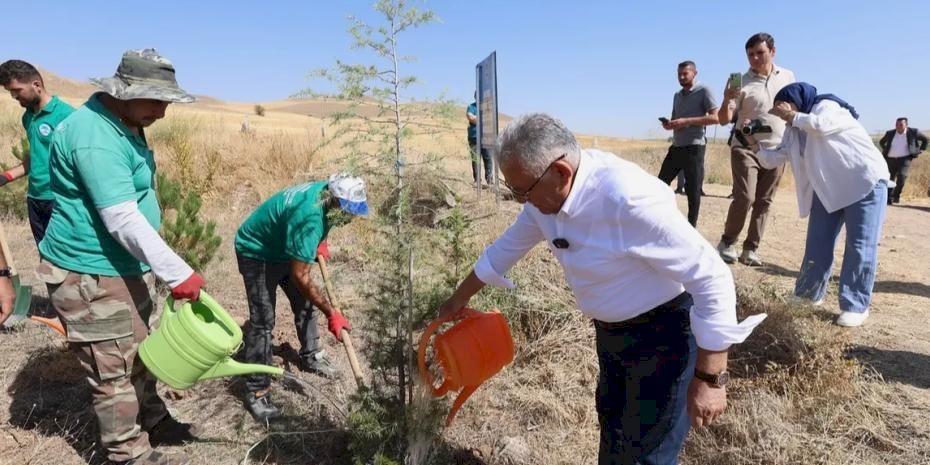 Kayseri Büyükşehir'den kente 'yeşil' atılım