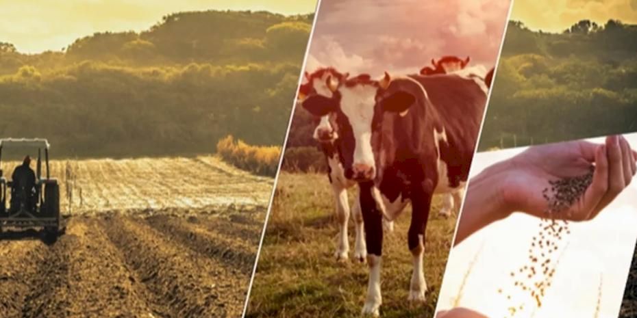 17,4 milyar TL'lik tarımsal destek çiftçilerin hesabında