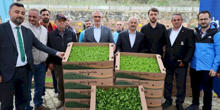 Kocaeli’de çiftçilere sebze fidesi desteği