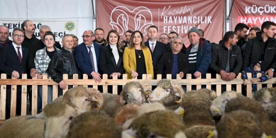 Trakya'nın ilk Küçükbaş Hayvancılık Festivali Malkara'da coşkuyla başladı