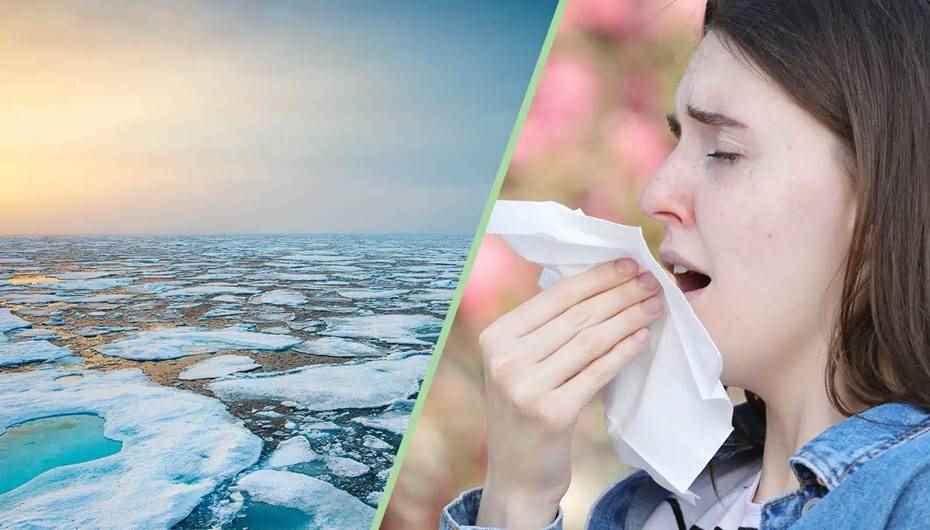İklim krizi alerjiyi tetikliyor, hastalıklar ise hızla artıyor