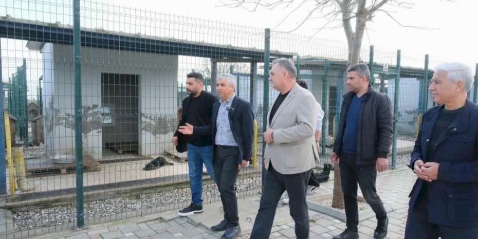 Adanalı veterinerlerden hayvan bakımevine inceleme