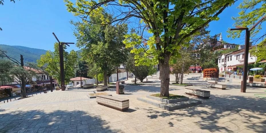 Sakarya Taraklı’da tarihi çınar yeniden hayat buluyor