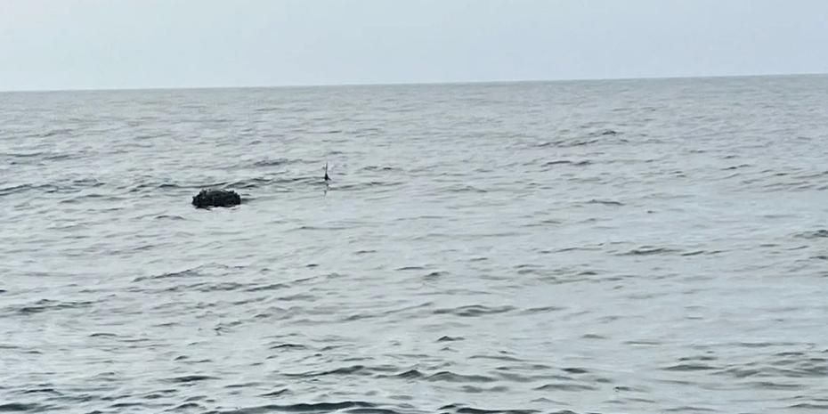 Karadeniz’deki şüpheli mayın SAS timlerince imha edildi!