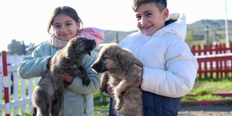 Doğa ve patili dostlar İzmir'de şifa dağıtıyor