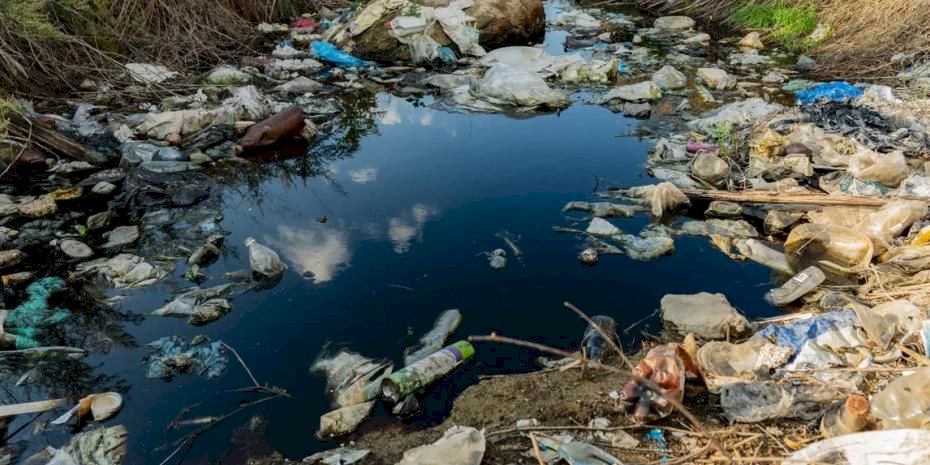 Prof. Dr. Ünüsan'dan mikroplastik uyarısı: Bitki bazlı çözümler umut veriyor ancak...