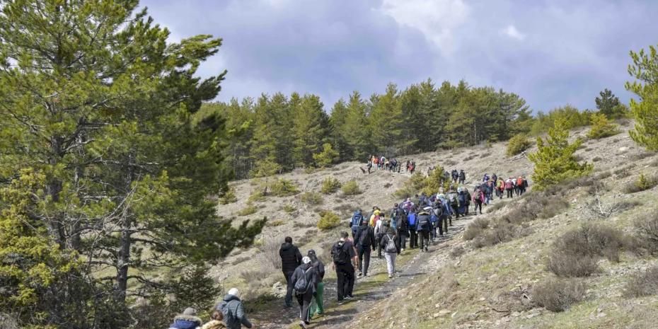 Başkentliler Şahinler Tabiat Parkı’nda doğayla buluştu