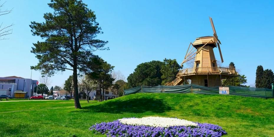 Sakarya’da baharın büyüleyici cümbüşü