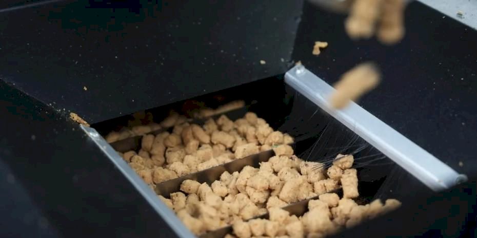 Eskişehir'de atık yemekler mama oluyor